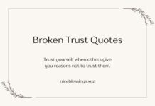 Broken Trust Quotes Broken Trust Quotes